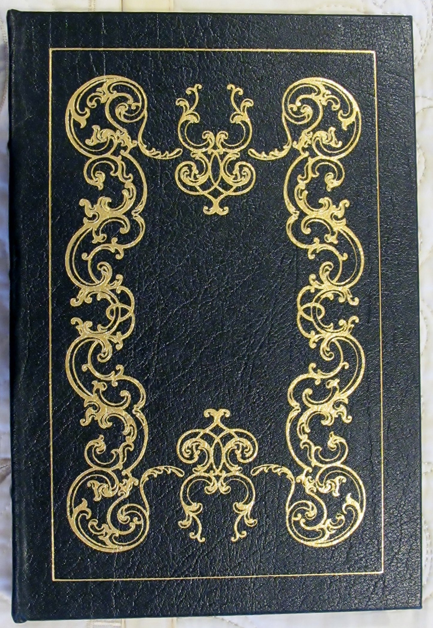 Torrents of Spring book cover