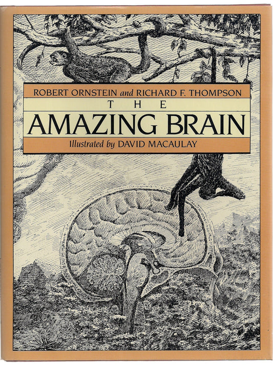 Amazing Brain book cover