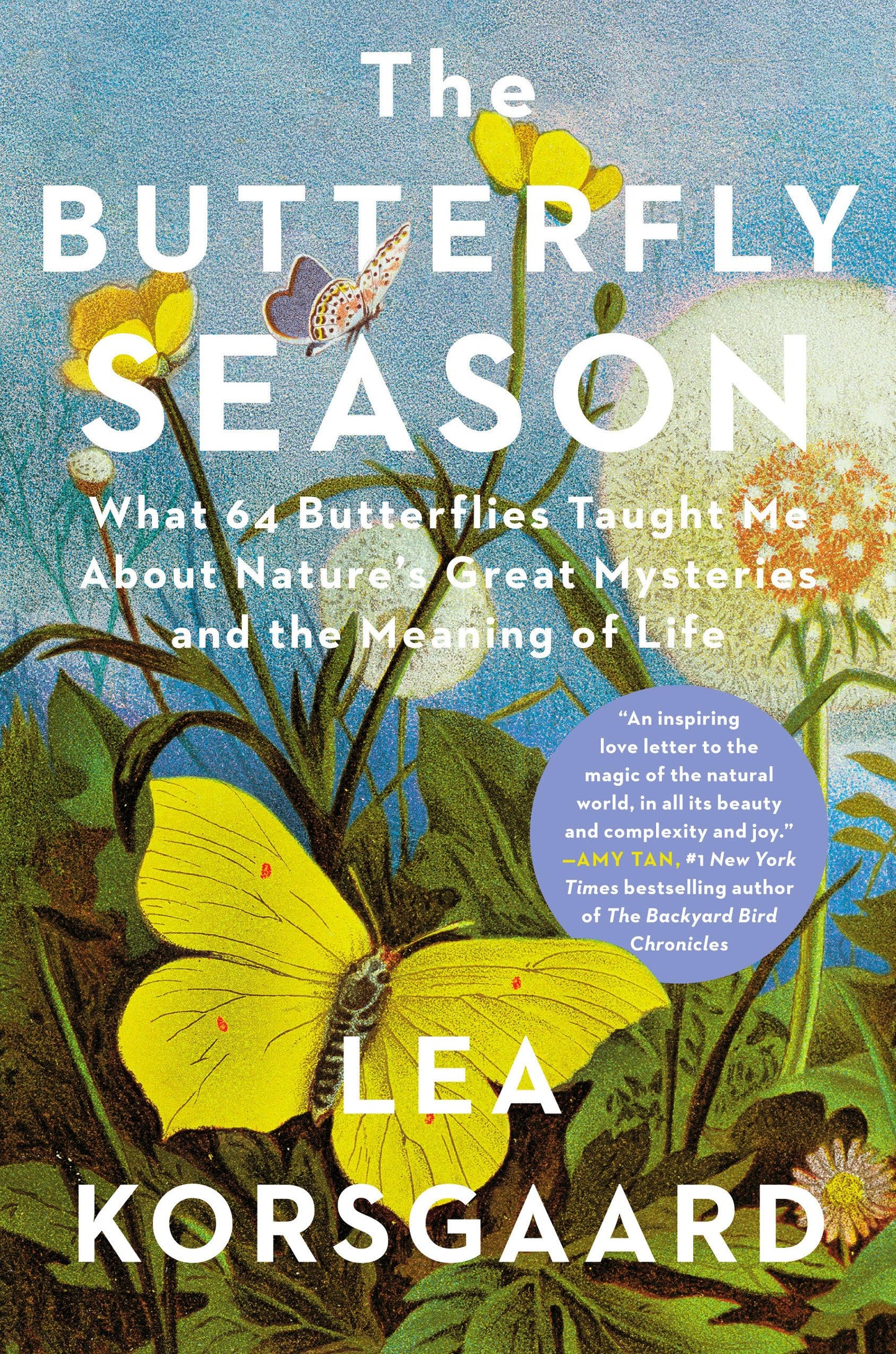 The Butterfly Season book cover