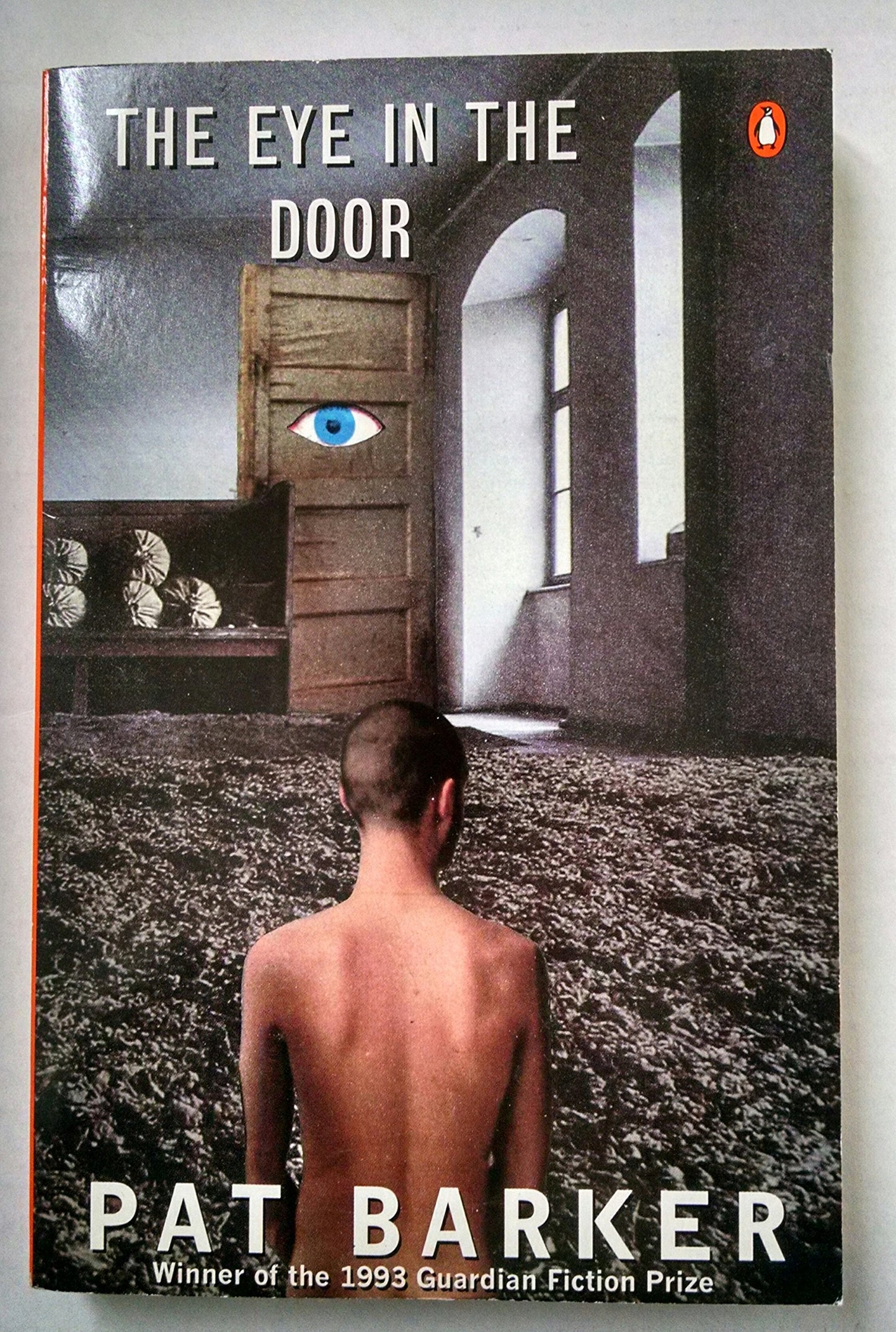 The Eye in the Door