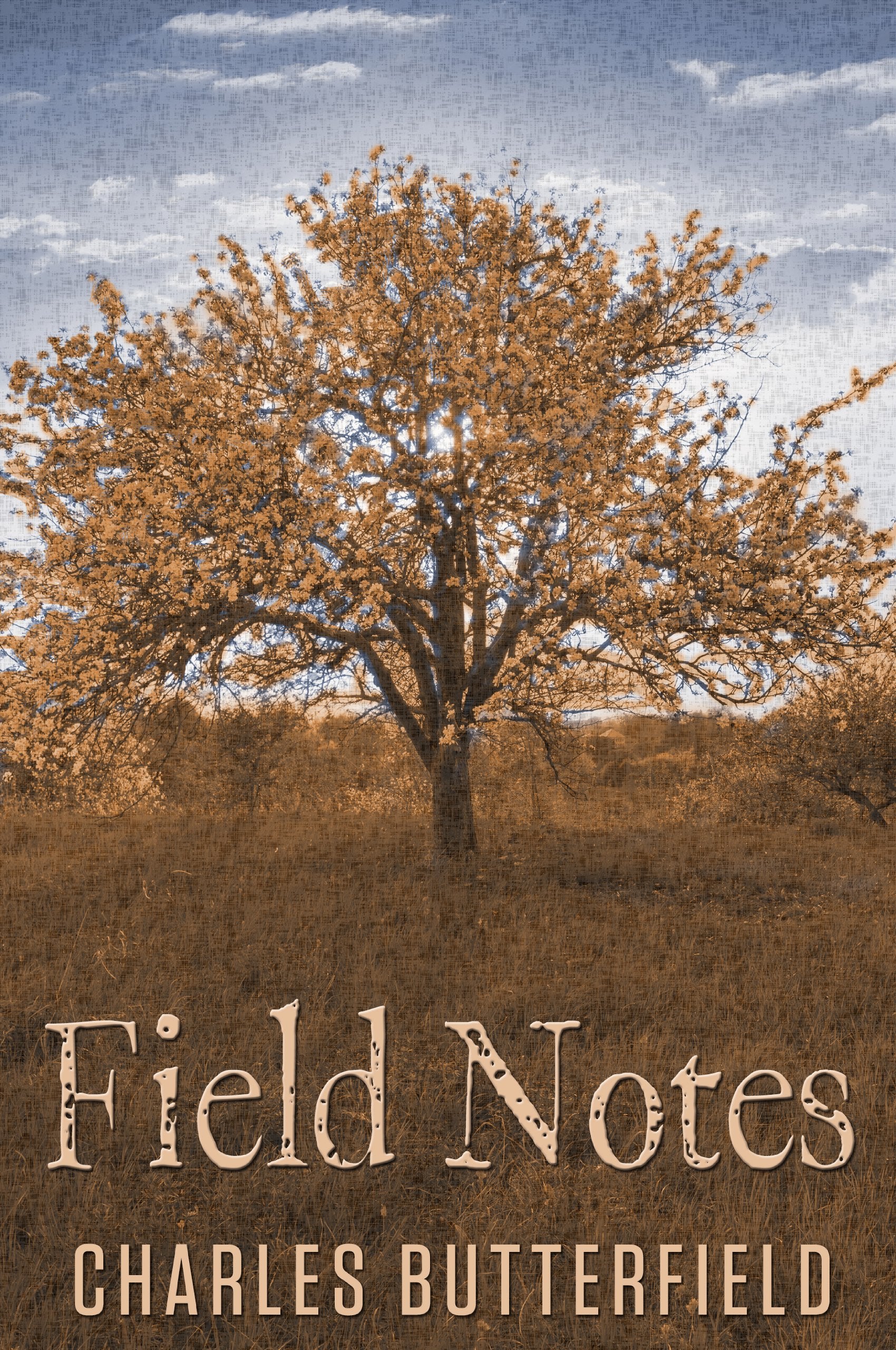Field Notes book cover