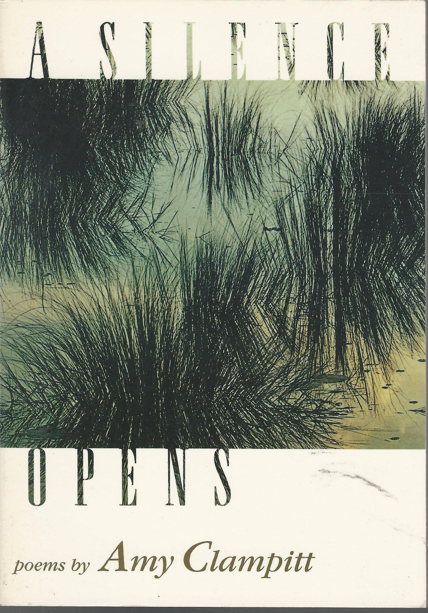 A Silence Opens: Poems book cover