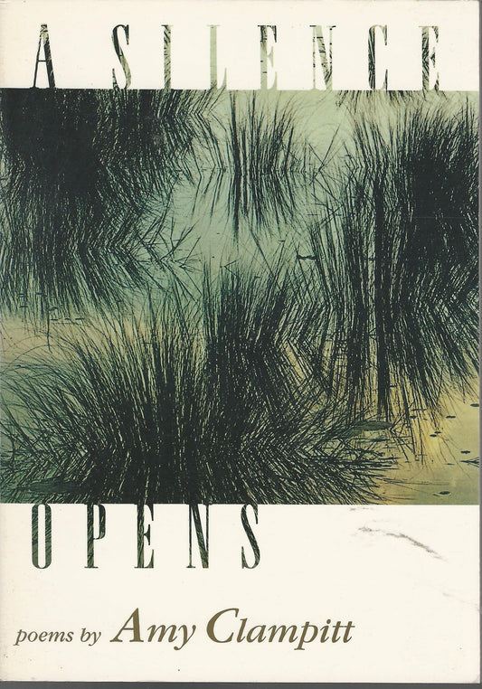 A Silence Opens: Poems book cover