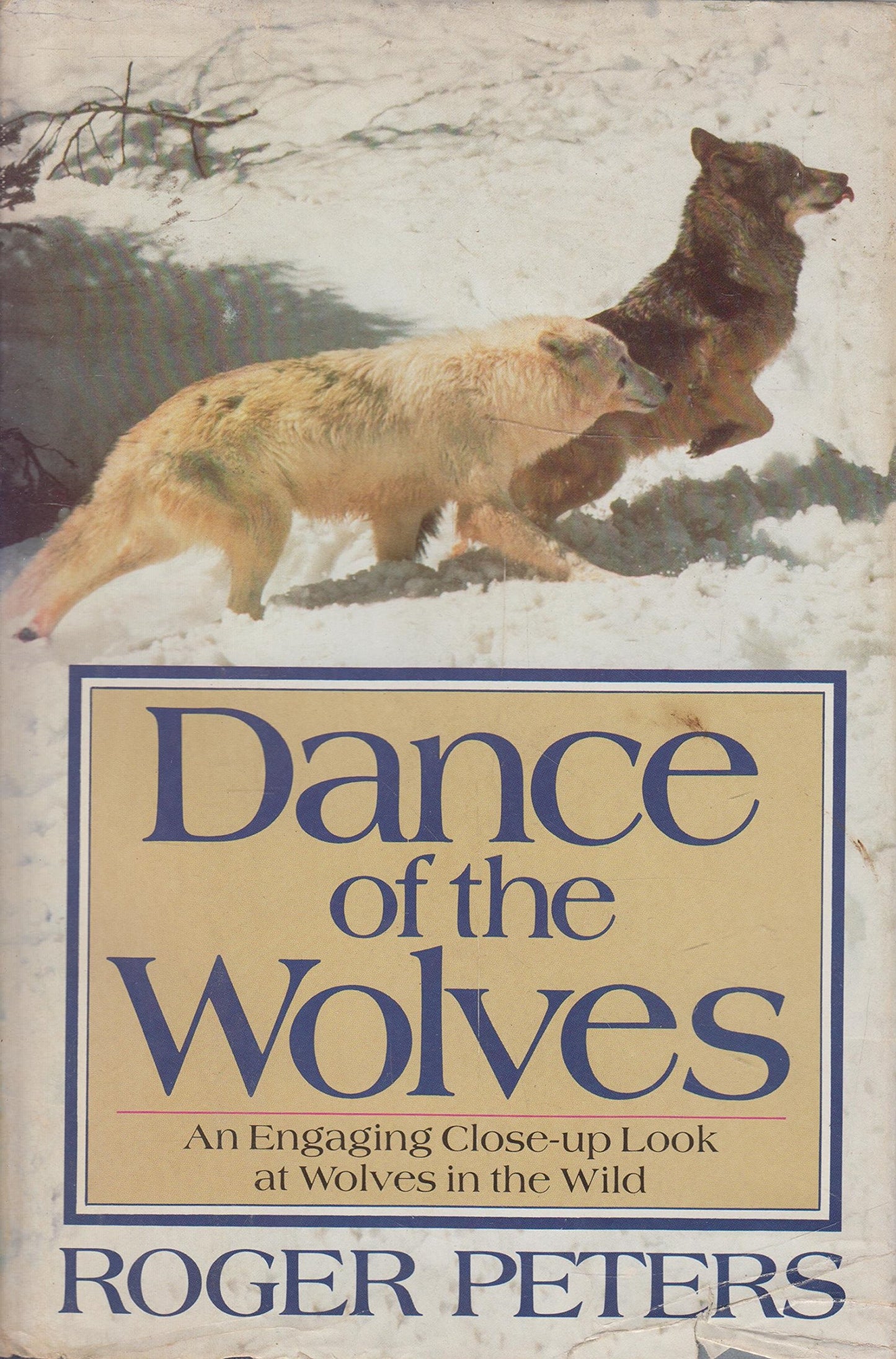 Dance of the Wolves book cover