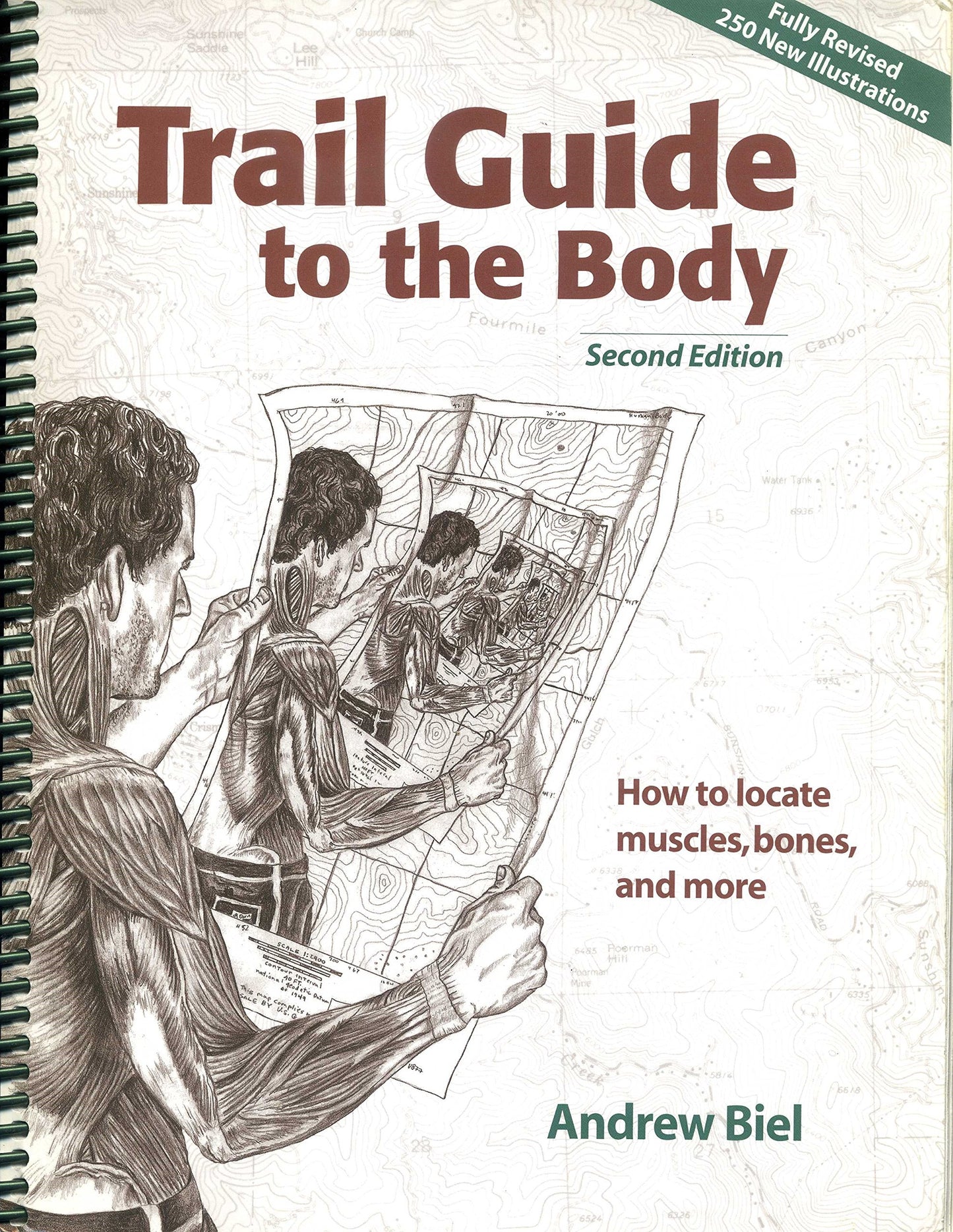 Trail Guide to the Body: How to Locate Muscles, Bones and More! book cover