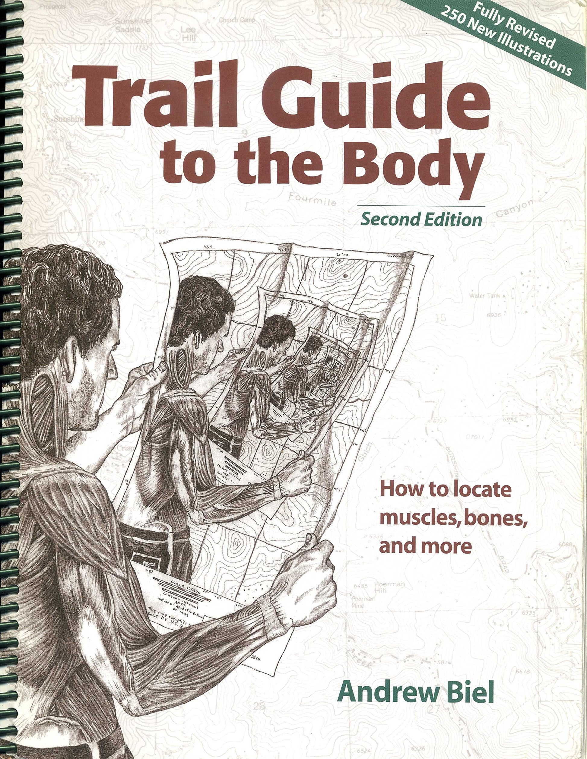 Trail Guide to the Body: How to Locate Muscles, Bones and More! book cover