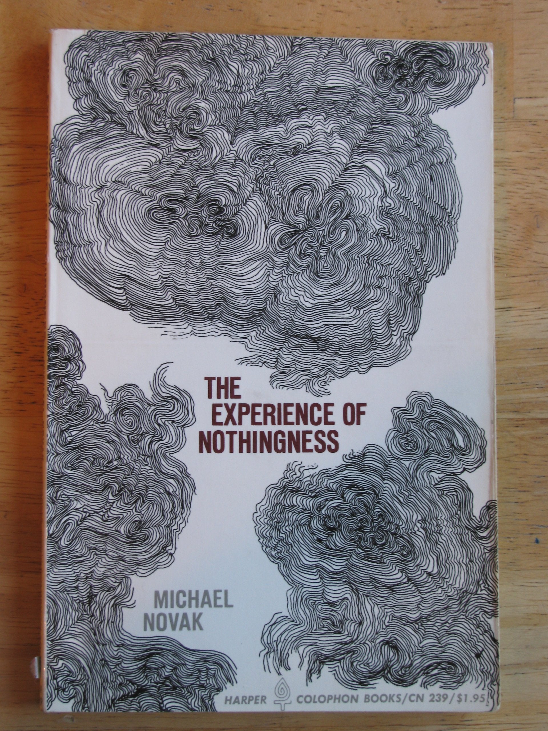 The Experience of Nothingness book cover