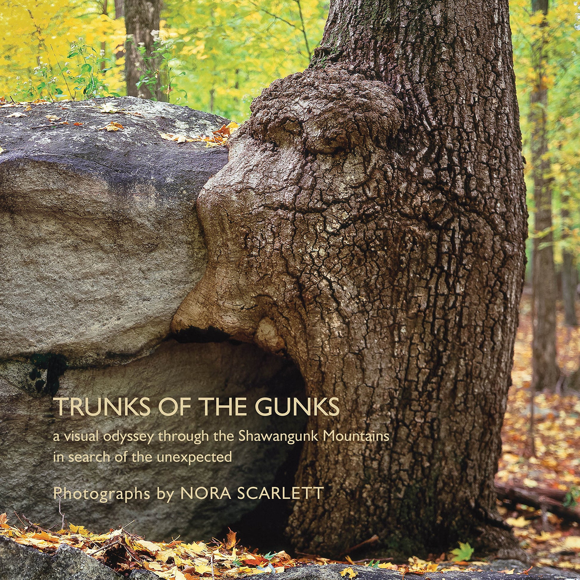 Trunks of the Gunks: A Visual Odyssey Through the Shawangunk Mountains: An Endeavor to See Beyond the Ordinary Into a Forest of Surprise an book cover