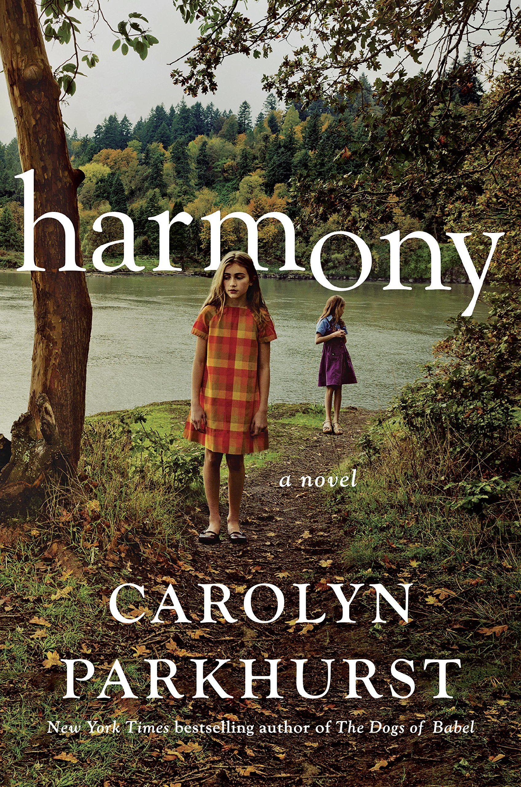 Harmony book cover