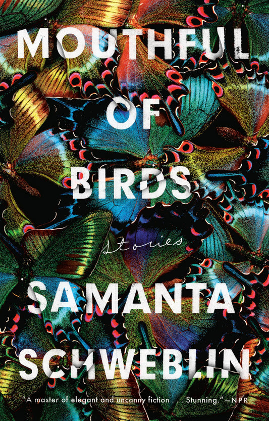 Mouthful of Birds book cover