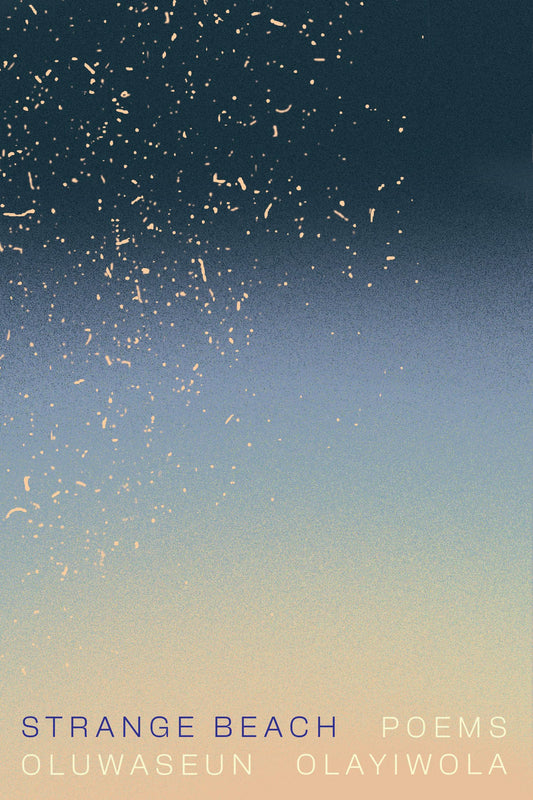 Strange Beach book cover