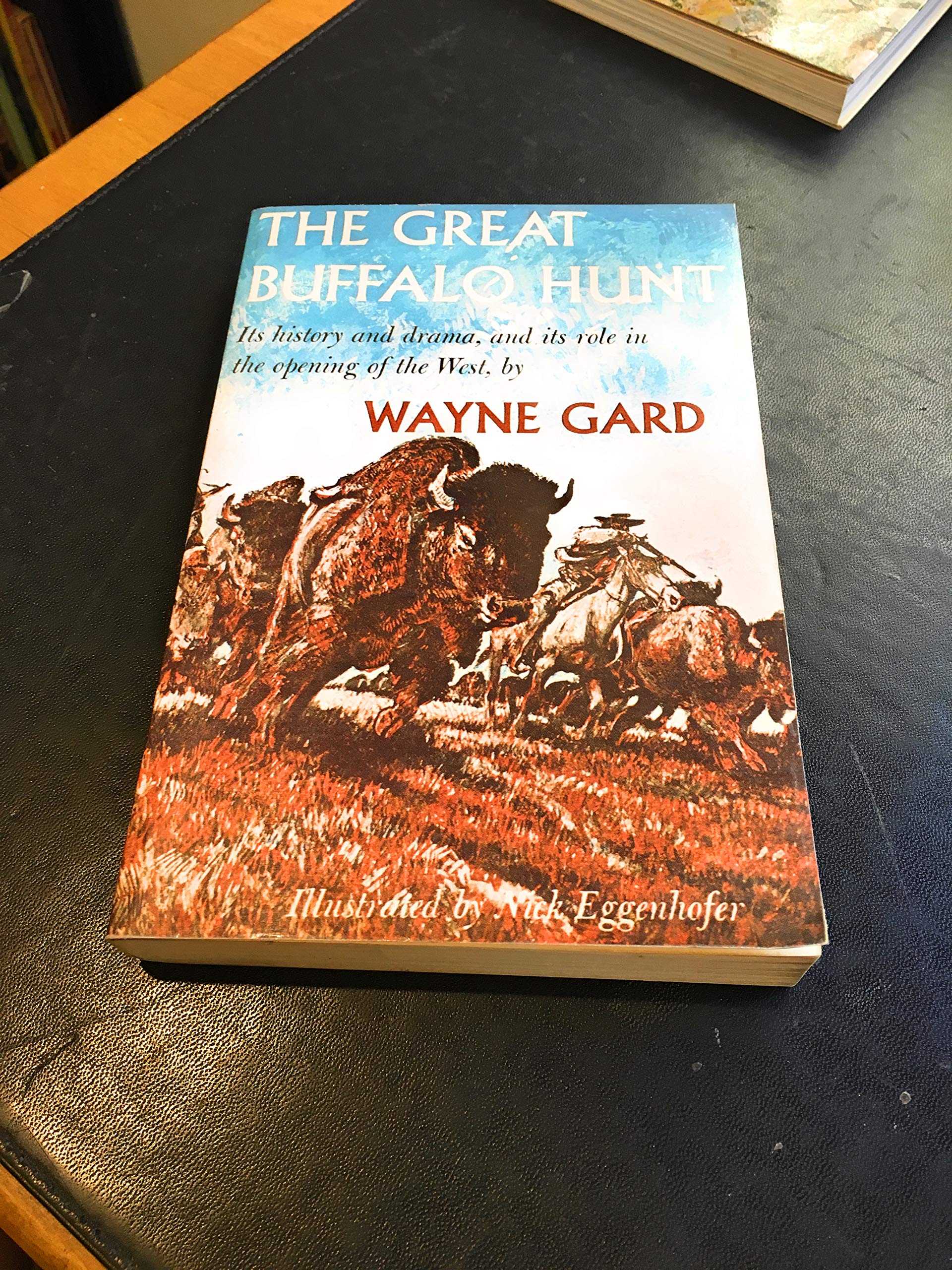 Great Buffalo Hunt book cover