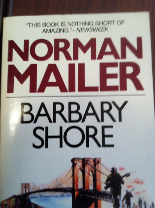 Barbary Shore book cover