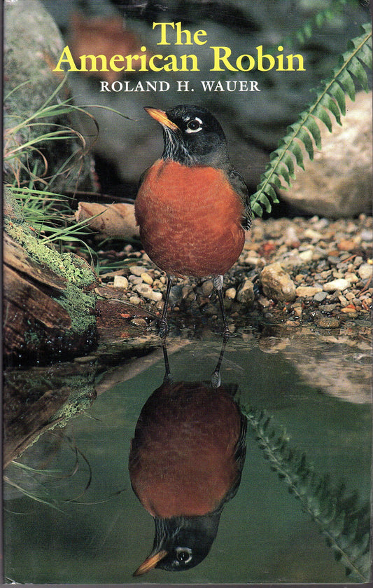 American Robin