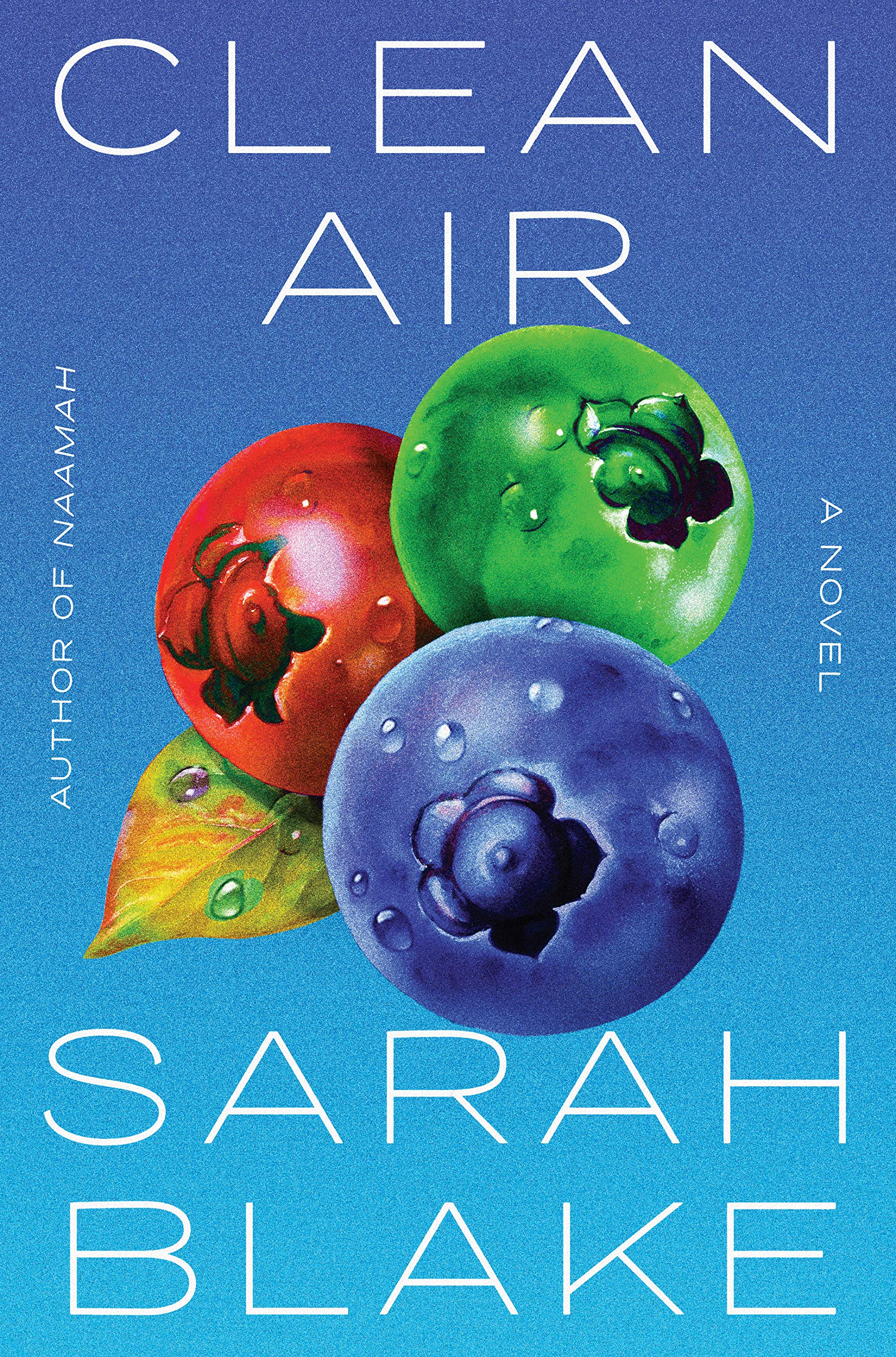 Clean Air book cover