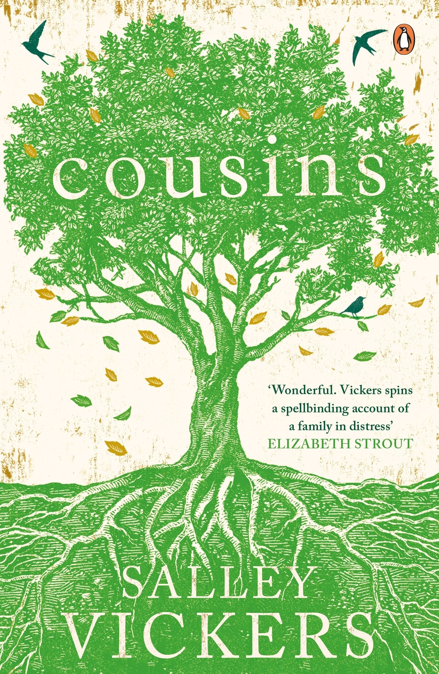 Cousins book cover