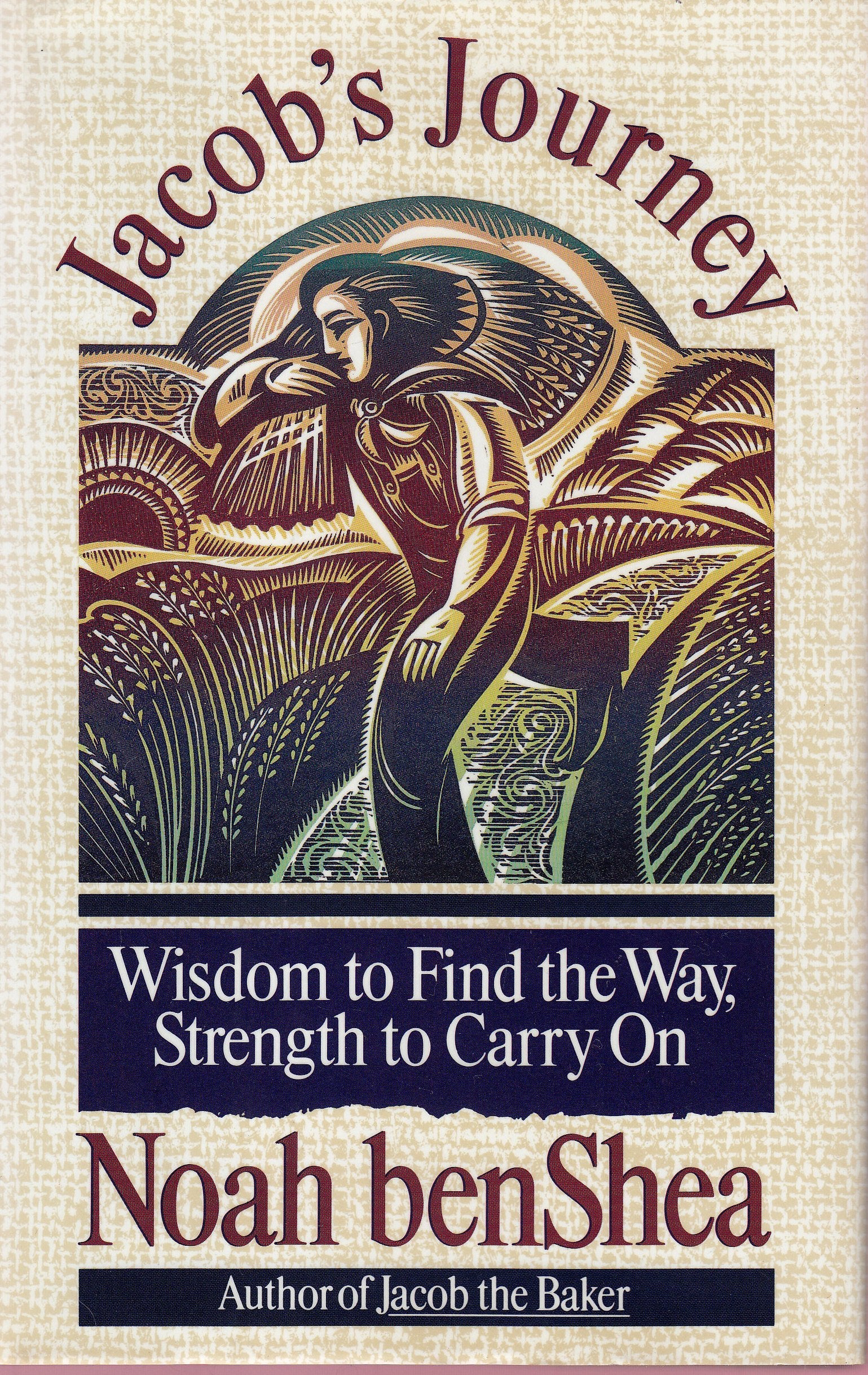 Jacob's Journey: Wisdom to Find the Way, Strength to Carry on book cover