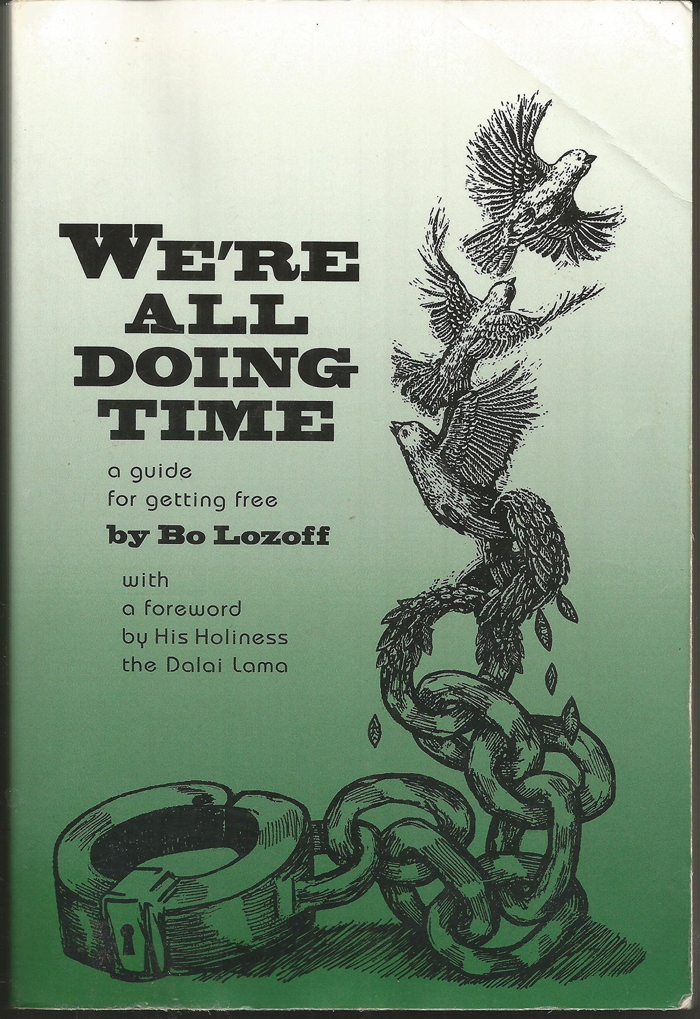 We're All Doing Time: A Guide to Getting Free book cover