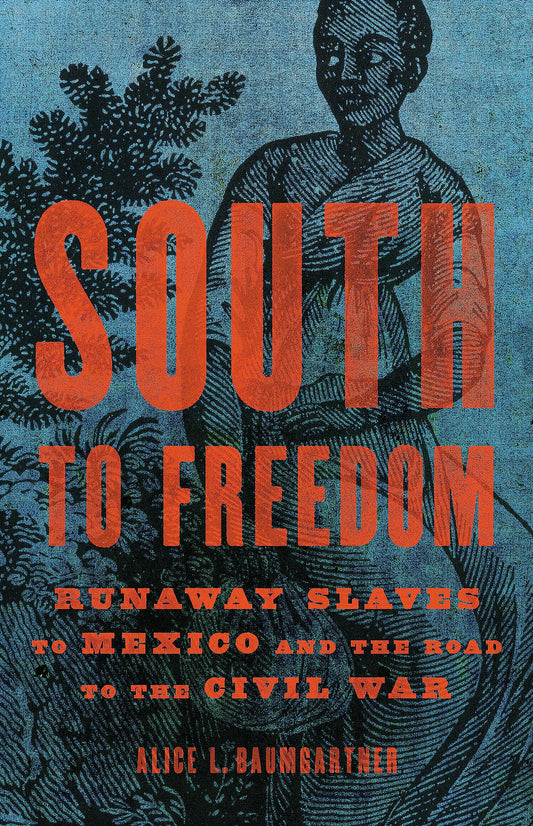 South to Freedom: Runaway Slaves to Mexico and the Road to the Civil War book cover