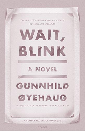 Wait, Blink: A Perfect Picture of Inner Life: A Novel