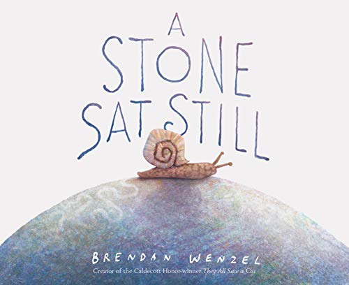 Stone SAT Still