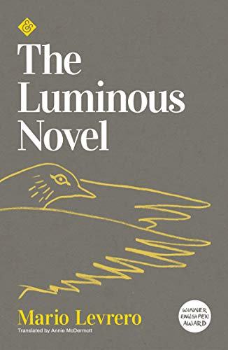 Luminous Novel