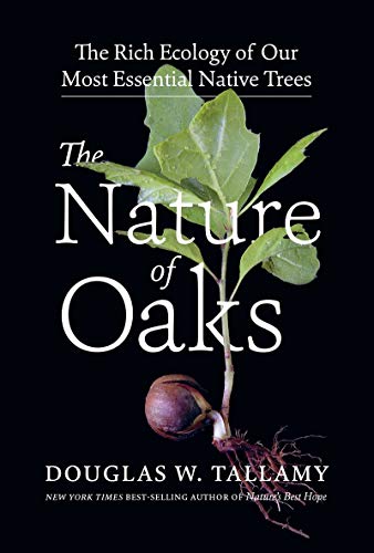 Nature of Oaks: The Rich Ecology of Our Most Essential Native Trees