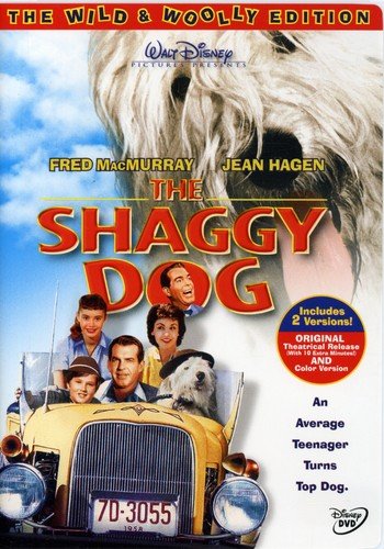 Shaggy Dog (Color)