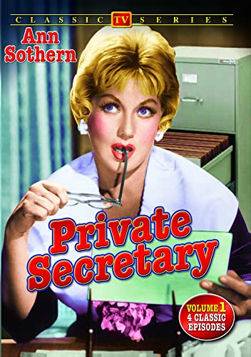 Private Secretary Volume 1