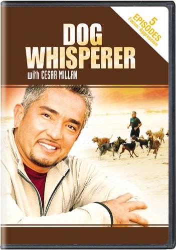 Dog Whisperer with Cesar Millan: Aggression