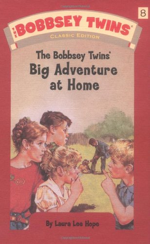 Bobbsey Twins' Big Adventure at Home