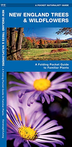 New England Trees & Wildflowers: A Folding Pocket Guide to Familiar Plants