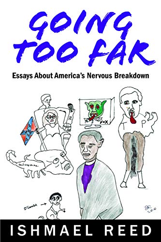 Going Too Far: Essays about America's Nervous Breakdown