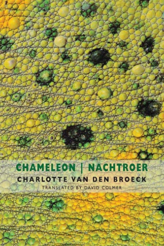 Chameleon / Nachtroer